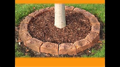 tree rings are fake youtube